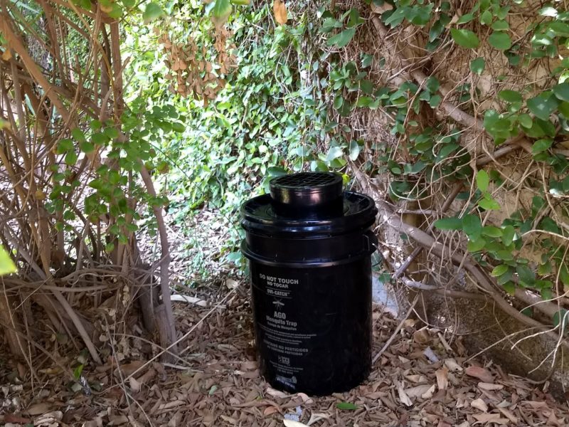 Mosquto bucket Alpha Pest Control
