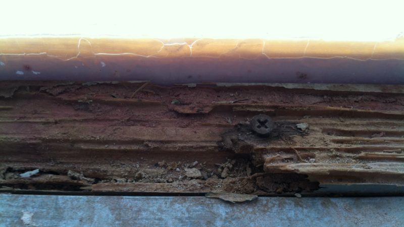 Termite Damage Alpha Pest Control