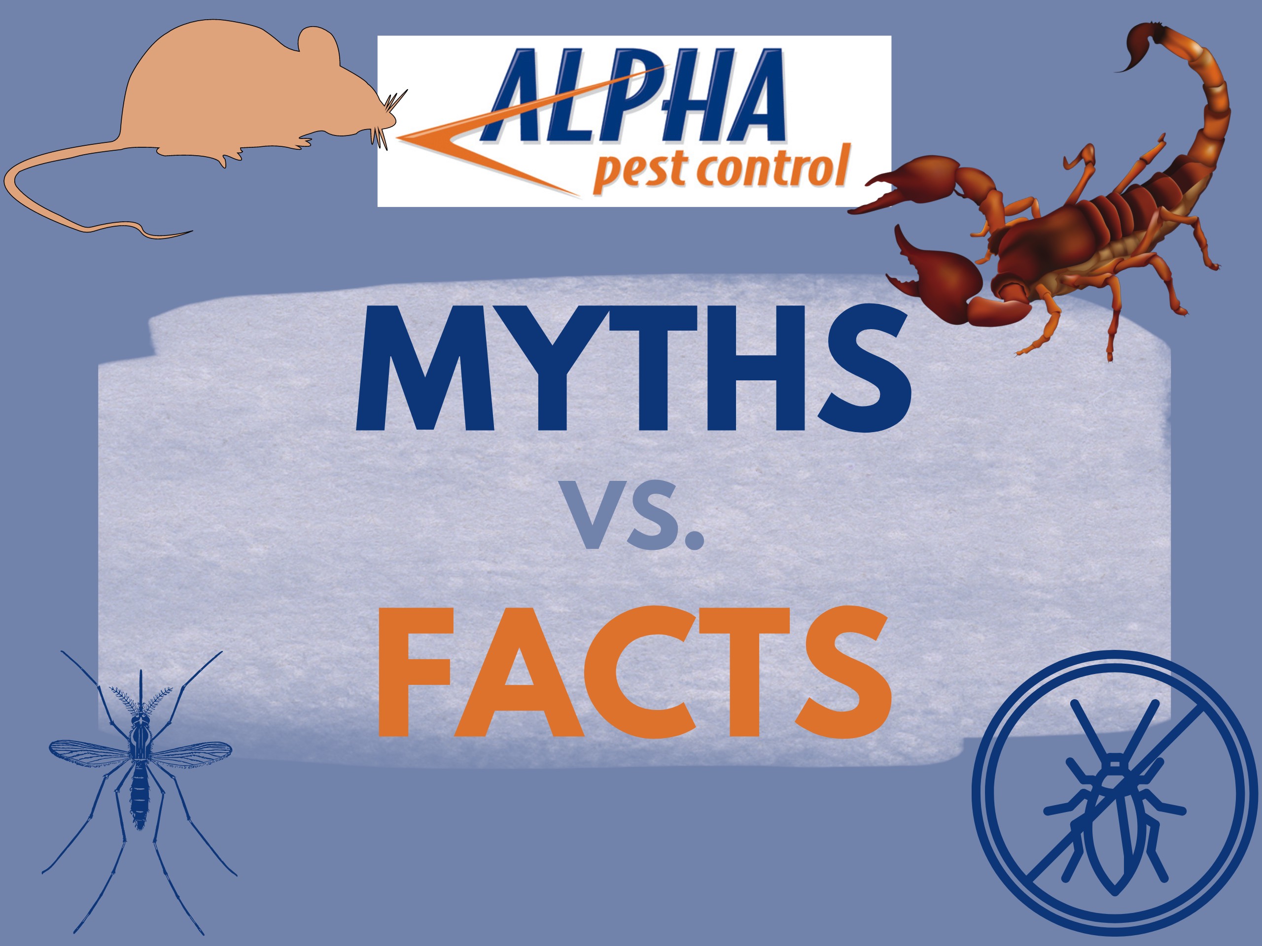 Alpha Pest control myths vs facts scorpion and rodent graphic