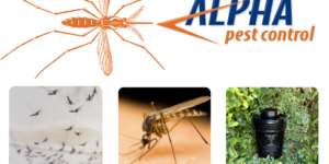 photo with Alpha Pest Control logo, mosquitoes and mosquito bucket