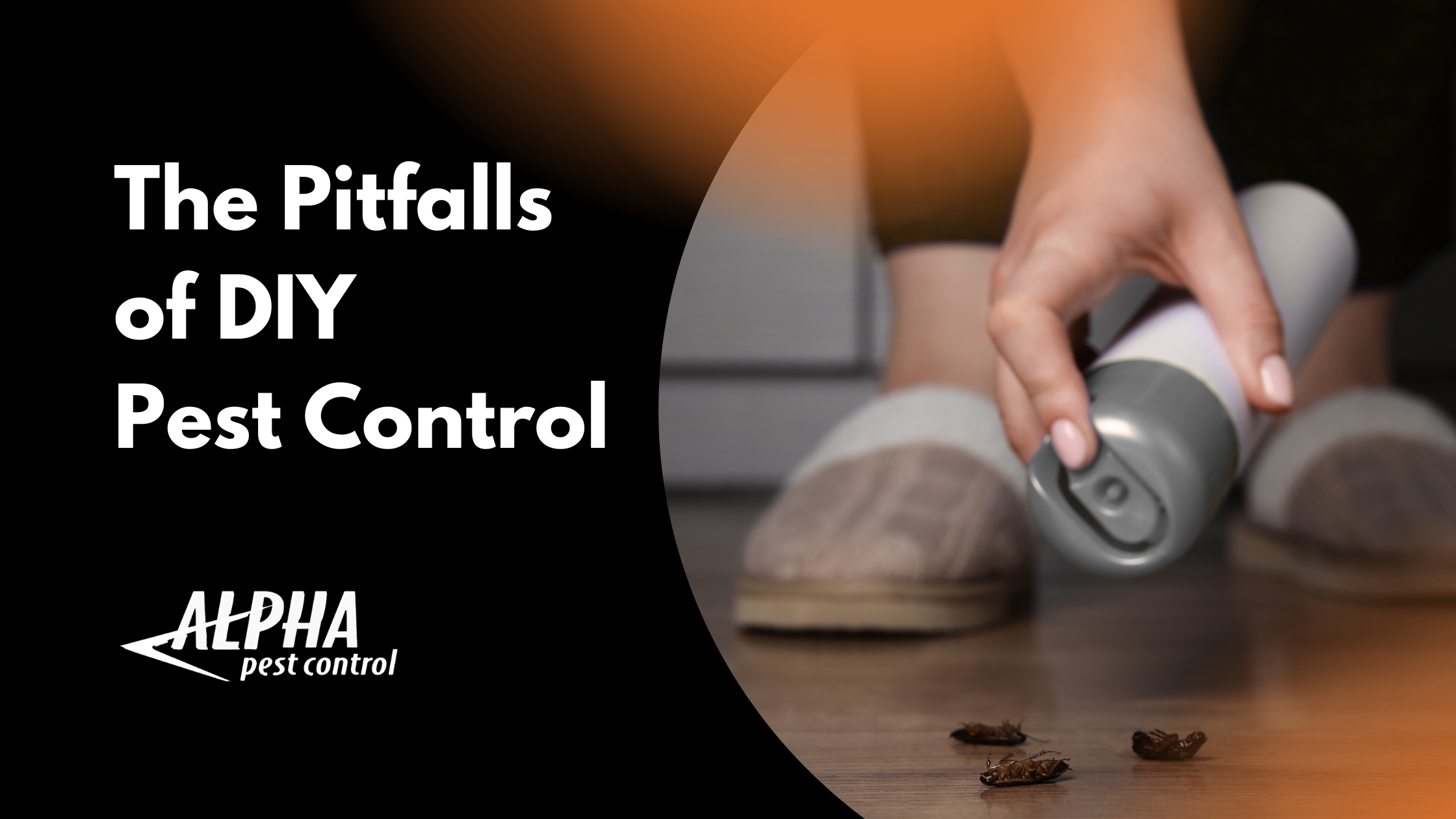 person spraying for bugs diy pest control