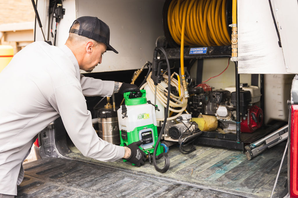 tempe pest control for arizona's most common pests