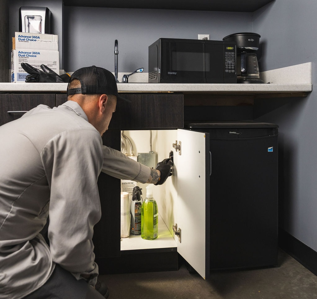 Pest control technician prepares traps for commercial rodent control in an office kitchen.