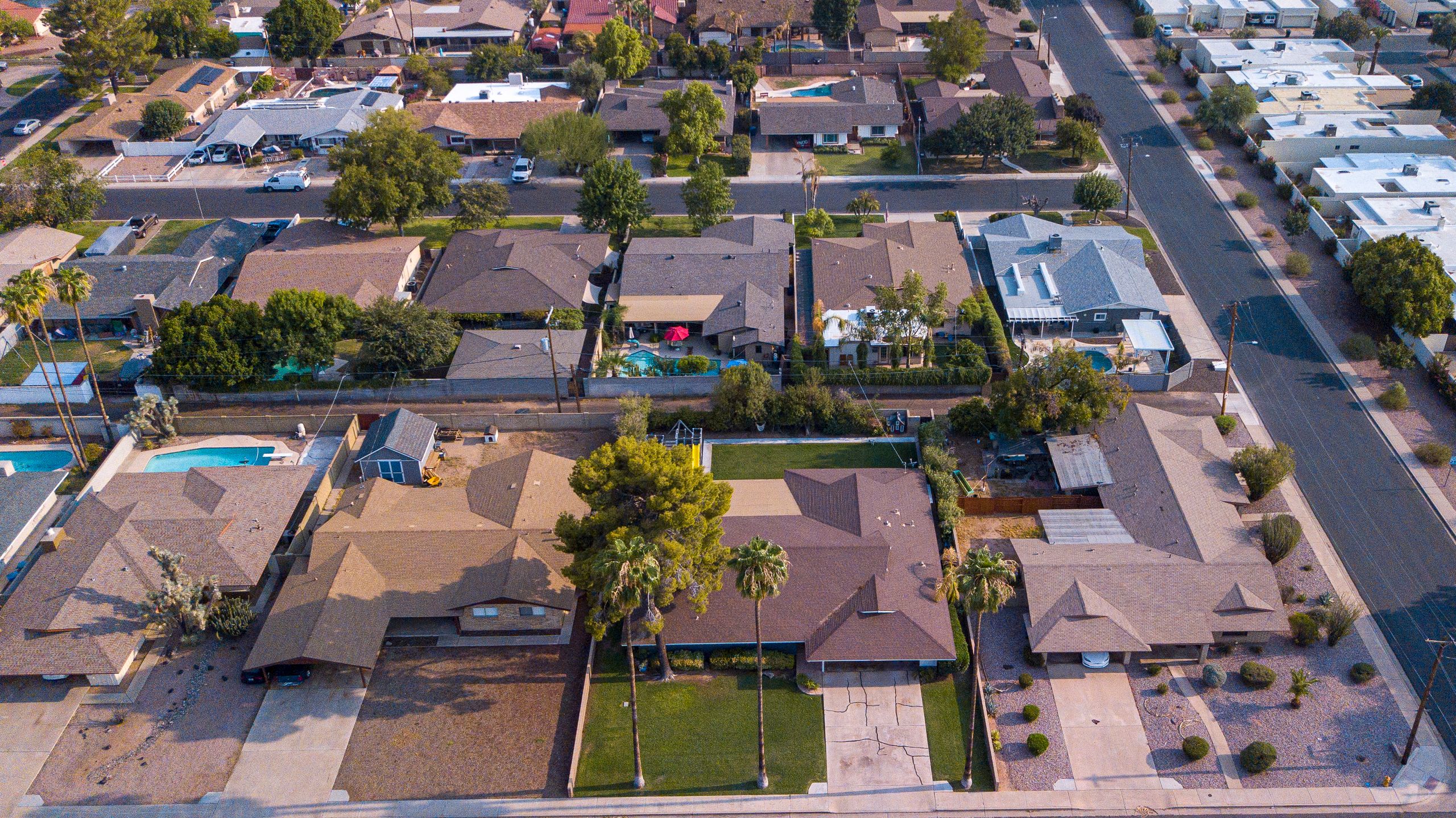 Arizona pest guide for new homeowners — Phoenix Valley neighborhood with desert landscape