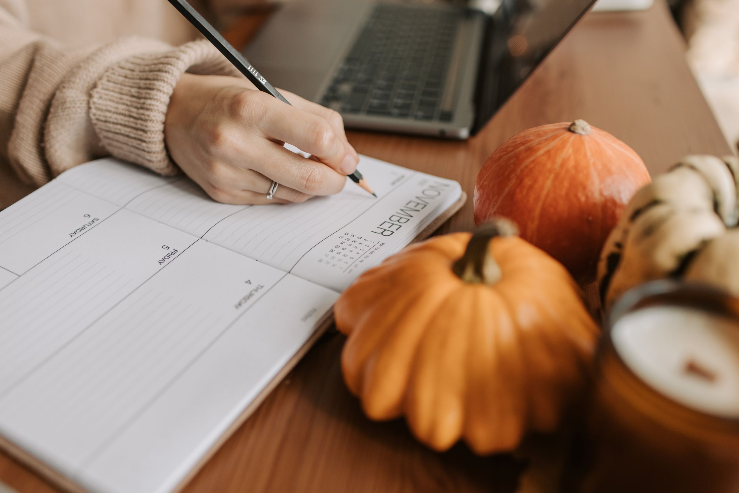 Understanding seasonal rodent prevention options lets you plan the best strategy for pest-free peace of mind.