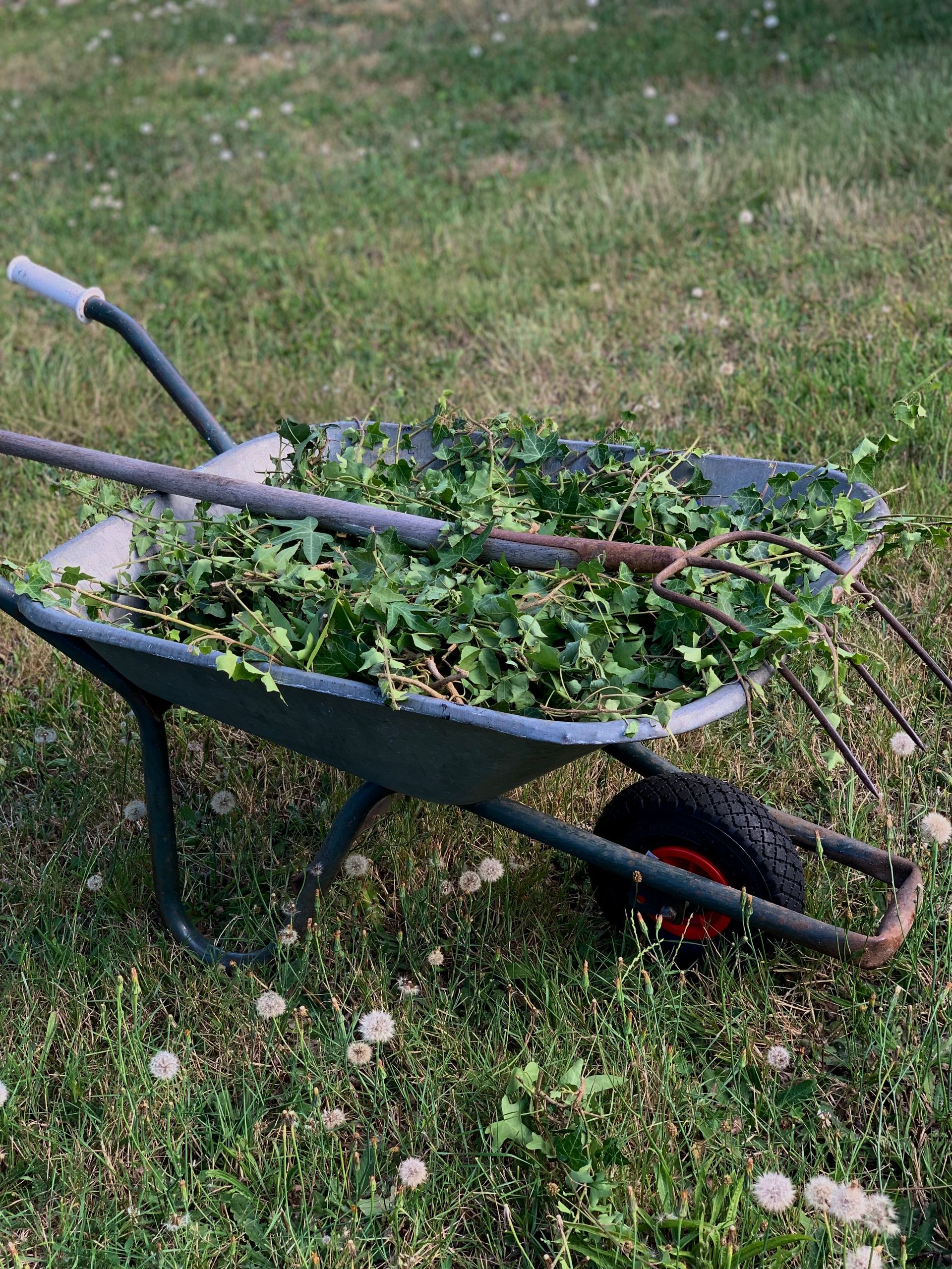 Weed control on your own can be time consuming.